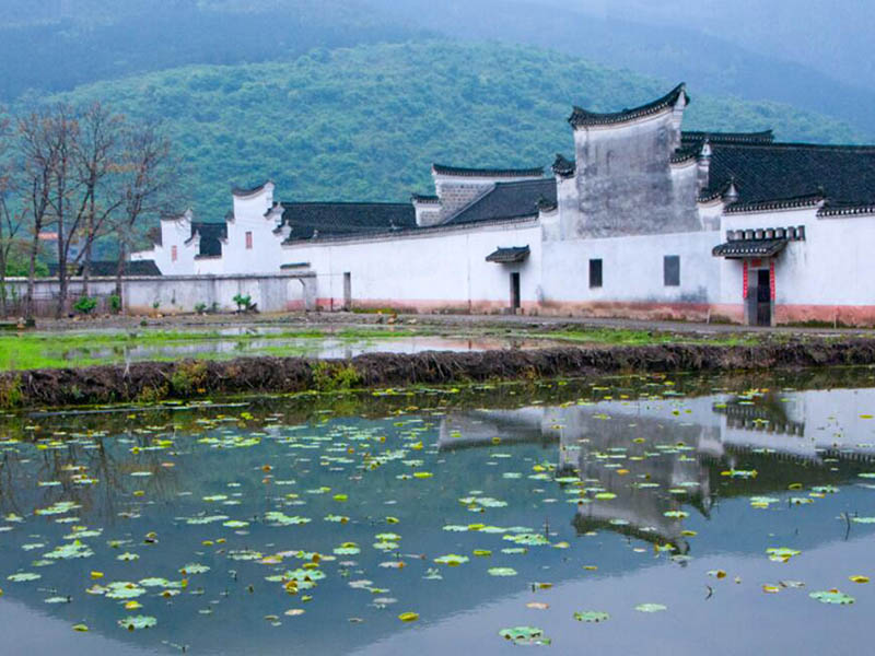 什么是pH標準緩沖溶液