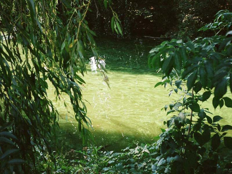 水質(zhì)總磷檢測(cè)前處理方法