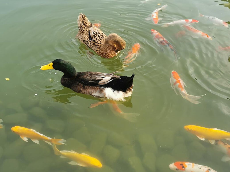水產養殖需要檢測水質水溫嗎
