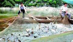 水產養殖中溶解氧的重要性
