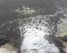 cod水質濃度過高對環(huán)境及人類的危害